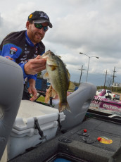 00BEDFBE-DE14-41E9-A223-45403BAA461E