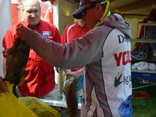 02C3A668-0462-4316-86C1-677461D013DE