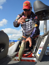 03887183-4EA8-4B1E-89E3-0D22563EF1AC