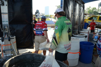 219D628C-610B-46C9-B090-AE4DD5B8BE7D