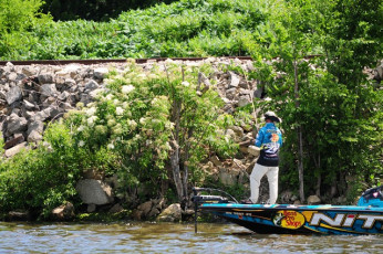 29531157-69CD-4441-B263-82B5BB1167CC