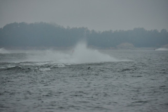 29FD36B7-CA0B-4537-916C-51E5C0E6E7E5