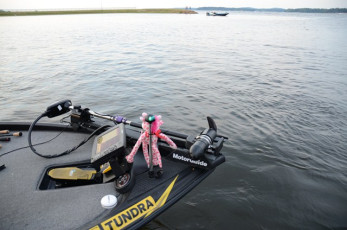 2E55BCD5-C1E1-4E9F-8AF5-F637BAF19C6F