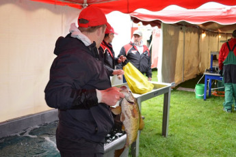 3366E42C-7750-4D61-A786-0BFFCA98BE54