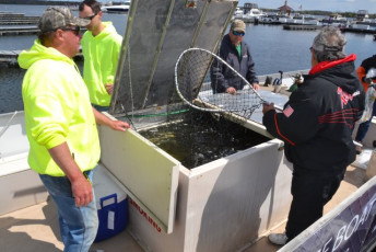 3AB21BA9-1141-4915-9B49-CC09430A4C35