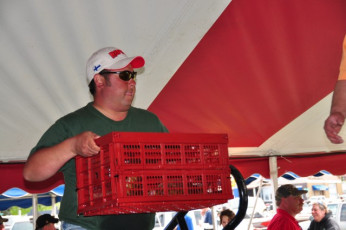 41D019BB-C020-44B5-AAD5-1169688FE52A