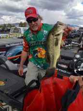 4C913819-1FC7-413A-852D-59A1EE86EC90