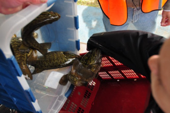 52213905-2594-4D42-B7AC-7332D9965986