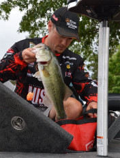 5BBBF171-37A9-422D-8747-7E368490A391