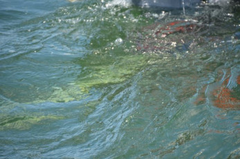 5EA9DBA0-C4C2-4EC8-8DAA-8A6CBC5A8E9B