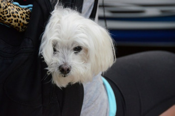 60D6062A-1AC6-4A54-BF8B-AA4EAC2E4AEC