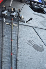 824BAD9F-1FD3-49D0-94AC-68280C8107E8