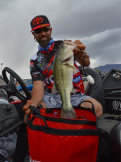 82816292-3147-4535-9428-A7FF11357AA3