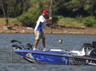 862899E7-5208-4BA2-839B-26F012564DAB