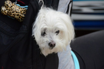 86CE11AE-D4E0-4E76-848E-D5025E524238