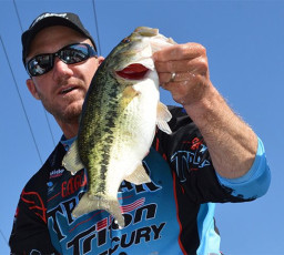 880C14EB-81AE-4A7C-8CEA-A3EC6A901654