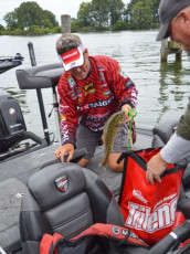 89C4949C-F763-4EE7-91F4-0C31ED592978