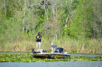 8EF1A339-DFFA-4465-BE53-FB0F0E20D7DA