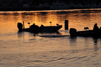 902009F8-1763-42D1-A2F6-74BE64838476