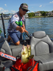 90457599-A2D0-44A3-B3D9-D53CEE126B54