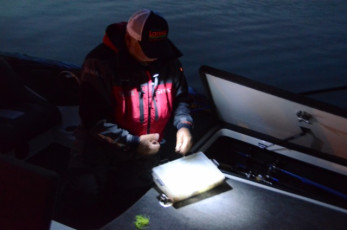 9274FD96-230B-4CC7-83D8-90862262AE97