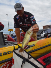 97CC952E-1E4F-41BC-AAA6-29911D028C5B