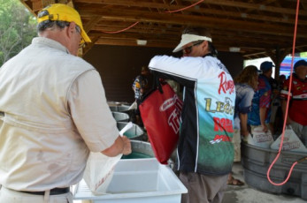 99330FC8-8B10-429A-B076-240DD8258E9F