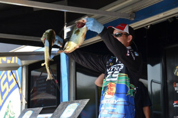 9AC26218-DE25-4355-93AB-3E7344D5930D