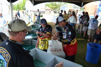 A12B62FE-CBCA-4BDE-A9DF-EAD80FB40C79