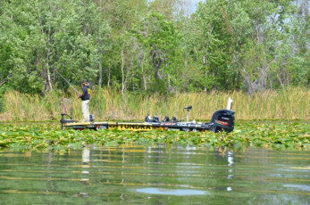 B3229978-4E96-4FF2-A62F-641D878F58FE