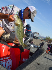 B5E38C73-BC4C-47EF-A872-FF8074282507