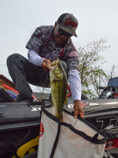 B75C90C8-18B6-4828-A561-4455FD60D373