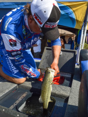 BC301C39-3D7D-4C65-9255-43716003113F