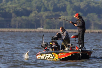 C01E1EA3-1C8C-4ECA-841C-53A8EA57DE8A