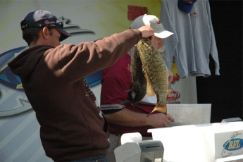 C44DB4FB-31EA-43C2-8D55-FBBD6E7A3823