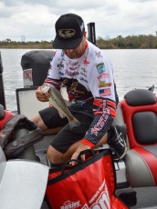 CA242DB6-BC77-4F30-9195-5954D08CE290