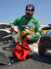 D117A791-BBB8-489F-A2E1-1611D0509882