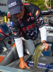 E83BE525-2C3C-41D5-9CD1-E2EF09BA28BF