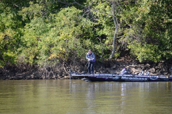 EA71A663-7D50-425C-B40E-3F9498F665C7