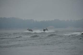 EBDD0BF6-8E6D-459D-AEDF-79063B35863F