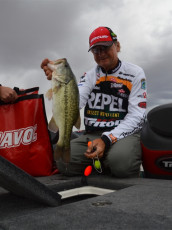 F1B918D8-8A53-4C88-B176-51E620811169