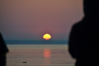 F23224B6-AA20-41A5-8266-F9BBC572CA3B