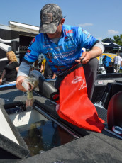 F3F33AD1-31B9-48E3-9AC7-699D702A58E4