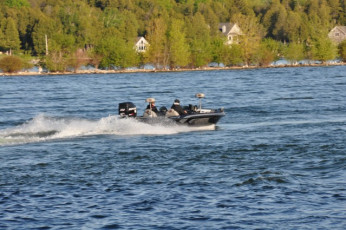 F4B7B541-4DD7-4EF0-B2E3-83BB637E60A2