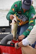 F61ED484-6BB0-40E0-8B9F-513E73F87D78