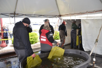 F9F99C8D-1400-46BB-8C5D-587C2803DEEA