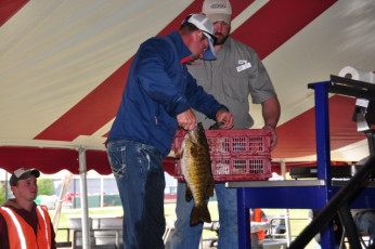 FAFEDC19-AA28-4F58-950C-0BB63D940B9D