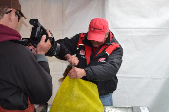 FBC0F0ED-88E5-464A-BDCF-27C0B3403036