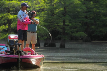 02971236-9C5C-4129-8B50-7238CD708383