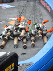 0872895E-13E2-447A-9063-9E467DCC4C50